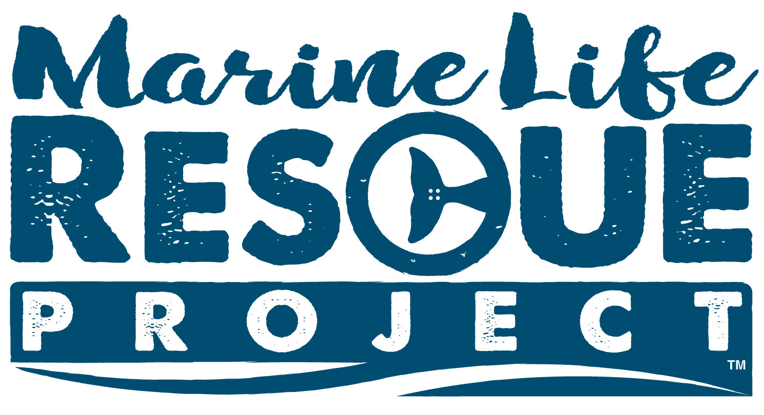 marineliferescueproject